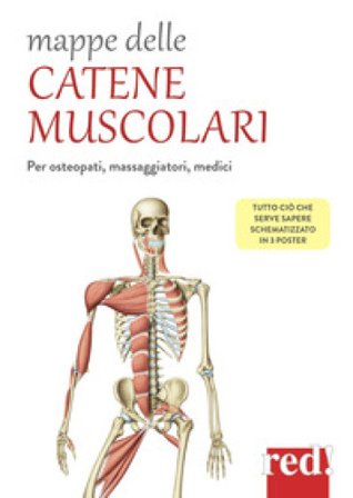 Mappe delle catene muscolari. Per osteopati, massaggiatori, medici