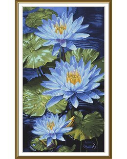 Stickpackung Bild Blaue Seerosen