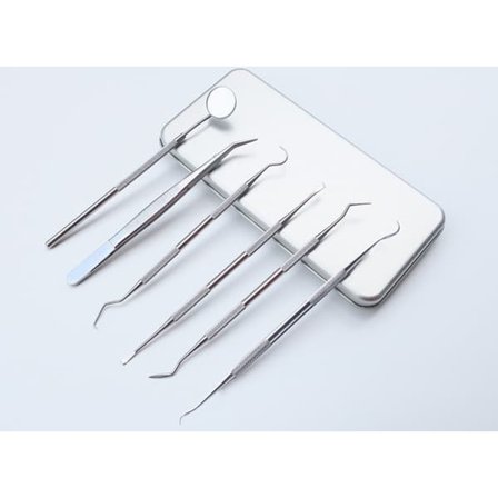 Professionelt tandplejesæt 6 dele Rustfrit stål—pa