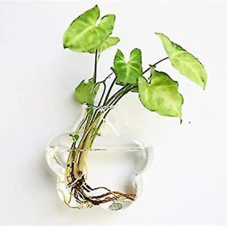 Veggdekorativt Akvarium Glassvase Hydroponisk Dekorasjon