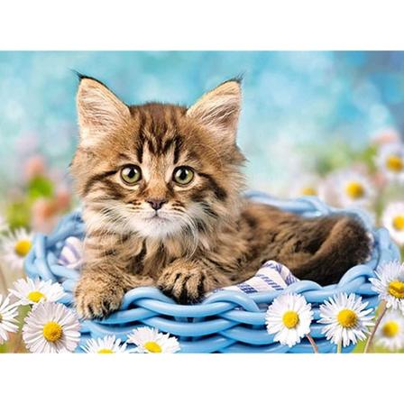 5D Timanttimaalaus Strassit Täysi Kissa, Timanttimaalauspakkaukset Täysi Eläin, Käsityö Kotikehykselle Kotiseinän Koristeluun Olohuoneen Makuuhuoneen 