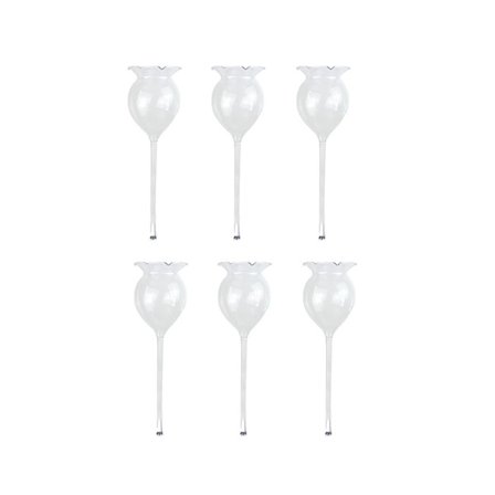 6 stk. plantevander, selvvander, håndblæst, klart glas, plantevandingskugle til indendørs