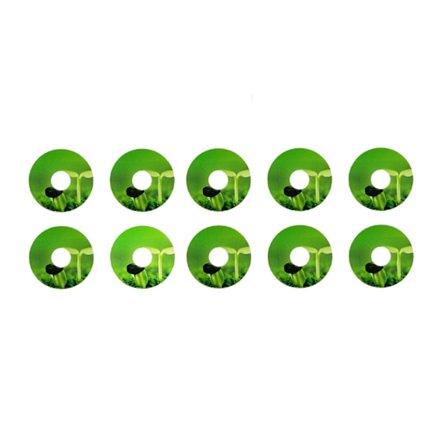 Frökruka Etiketter 10st/ set Odla korgar Självhäftande klistermärke Tag Decor