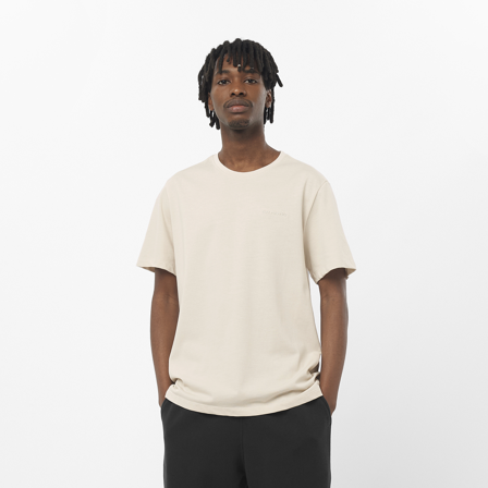 Salomon - T-Shirts Sal Logo Pride Ss Tee M - Rainy DAY