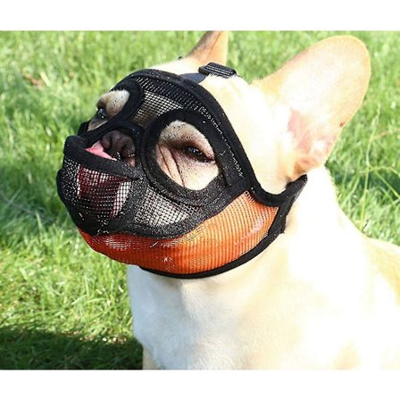 Mundkurv til hunde med flad snude - justerbar, åndbar mundkurv til hunde med kort snude, Bul lin