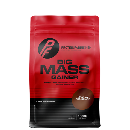 Proteinfabrikken Big Mass Gainer, 1000 g
