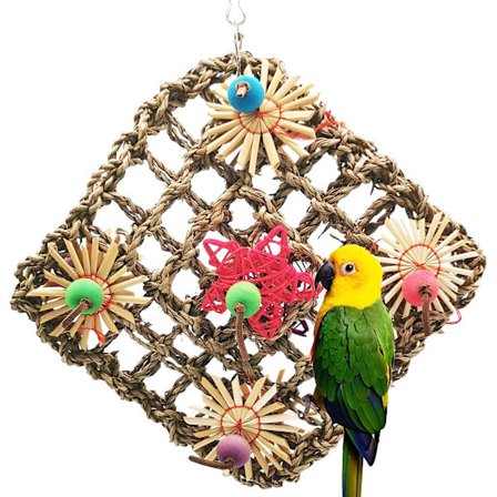 Fuglepapegøyleke, fuglesjøgressfôring vegg leke for små papegøyer, papegøyer, araer, conures, finker, kjærlighetsfugler