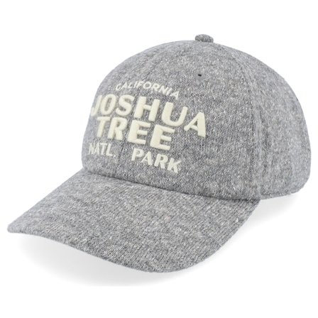 American Needle - Grijs adjustable Cap - Joshua Tree Canopy Gray Adjustable @ Hatstore