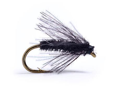 Guideline CDC Midge Black # 16
