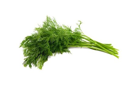 AUK DILL FRØ
