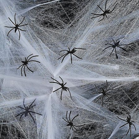 Spindelväv Spindelväv Spindelväv Spindelväv Med Ideal För Pla