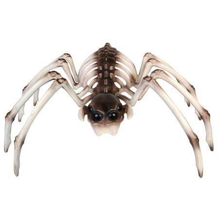 Edderkopskelet Dekoration