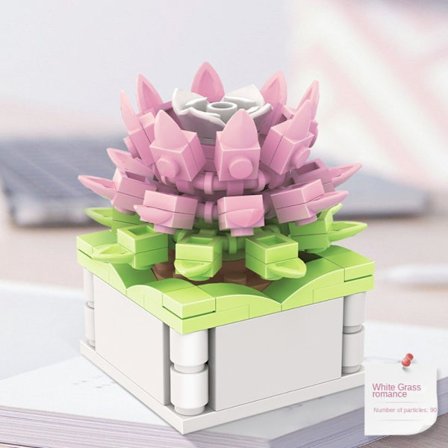 Suckulent byggstensblomma F F