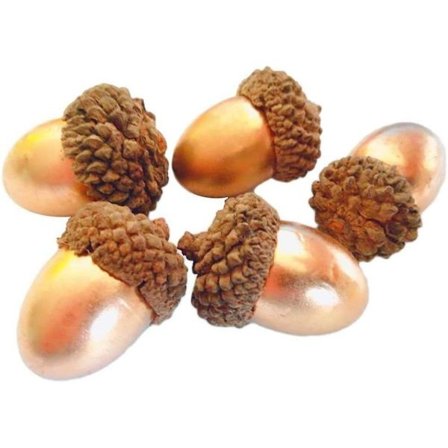 Pakke med 50 kunstige eikenøtter. Gyllen eikenøtt med naturlig eikenøtthette KLB