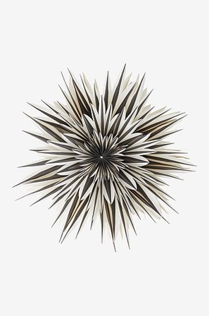 Jotex - Adventsstjärna ø 64 Cm Svart SPICA - Köp Julstjärnor hos Jotex