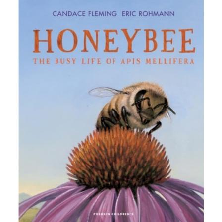 Honeybee (inbunden, eng)