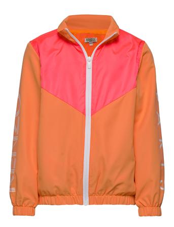 Logo Jg 6 Orange Kenzo