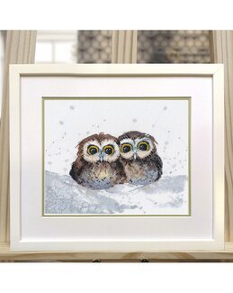 Stickpackung Bild Eulen