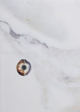 Honesty of matter. Ediz. illustrata Caterina Morigi