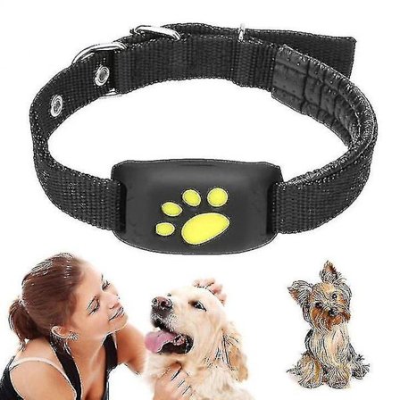 Smart GPS Katt- och Hundhalsbandsspårare