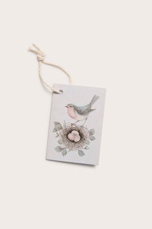 Newbie | Karta podarunkowa ptasie gniazdo | Niebieski