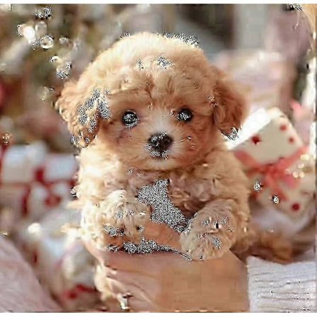 2025 Ny Robothund til Voksne, AI Robot Hund, Nicoo - Min Realistiske Robot Hvalp Der Opfører Sig Som en Rigtig Hvalp - Gående, Gøende, Haleviftende[HK