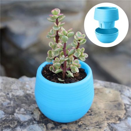 Mini steinball blomsterpotter sukkulenter små blomsterpotter regnbuepotter