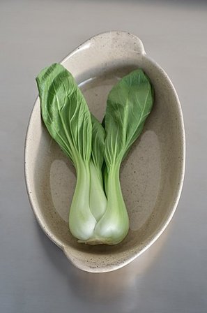 Jotex - Ugnsform 22x36 Cm Beige/svart SPLASH - Köp Brickor & serveringsfat hos Jotex