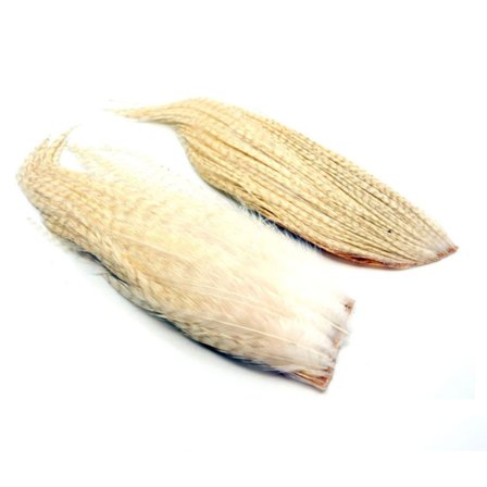 Whiting Bugger Pack - Ghost Barred White