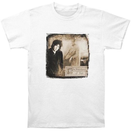 Waterboys 2013 Tourshirt T-shirt