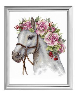 Stickpackung Bild Pferd
