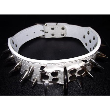 Hund halsband 2" vitt med nitar 39-47cm