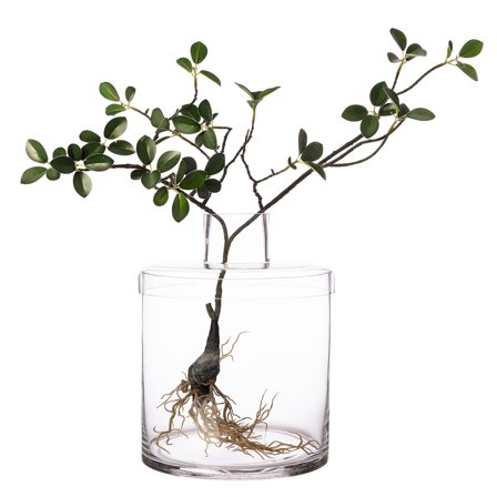 Ernst Glassvase med lokk, 21 cm' - 'Transparent