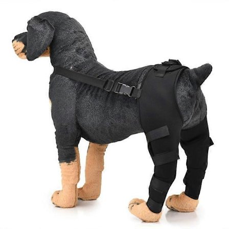 Benstøtte til Hund, Knæbandage til Hund, Dobbelt Bagbensbandage til Hund, Benbeskytter til Hund mod Sår, Knæbeskytter til Ben