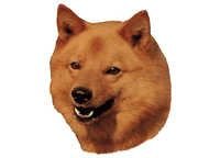 Finsk spets - klistremerker