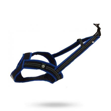 Zero DC - Zero DC Faster Svart & Blå - Klassiske hundeseler, step-in, jacket seler, trekkseler, vinterseler & Y-seler på Doggie.no