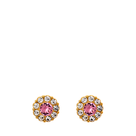 Lily and Rose Petite Miss Sofia Earrings - Light Örhängen Dam Guld ONE-SIZE