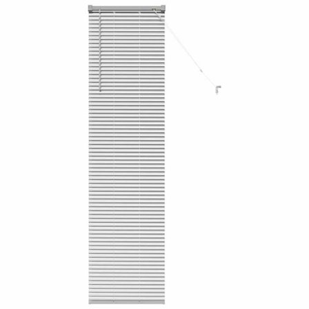 Aluminiumfönsterluckor - vidaXL - Silver - 40x175 cm - Eloxerad finish - Manuell funktion - Utomhusmontering