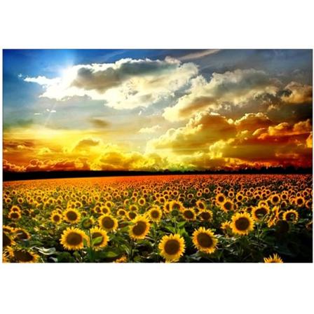 IC Solros Landskap DIY Timanttimaalaus 5D Täysi Timantti Ristipistos Tarra Timanttimaalaus, 30*40cm,