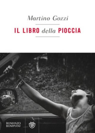 Il libro della pioggia Martino Gozzi
