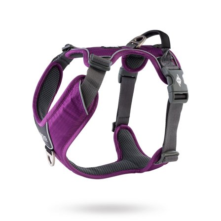 DOG Copenhagen - Comfort Walk Pro Harness Ny 2020 - Purple Passion