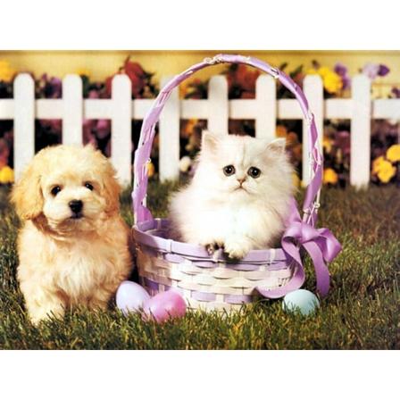 Diamond Painting / Diamantmålning - 30x40cm - Katt och Hund Multicolor