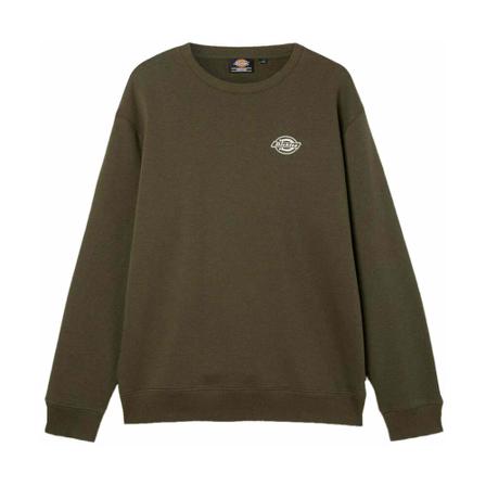 Dickies Sweatshirts & Hoodies Grøn, Herre
