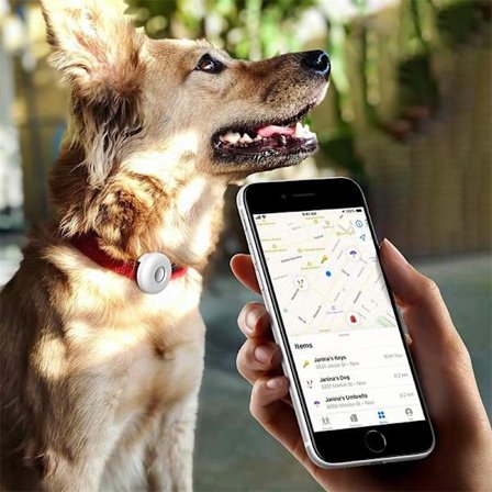 AirTag Fodral till hund katt skyddar ditt djur & AIrTag samtidigt