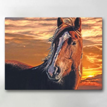 Lærredsbillede / Lærredstryk - Hest - 40x30 cm - Lærred
