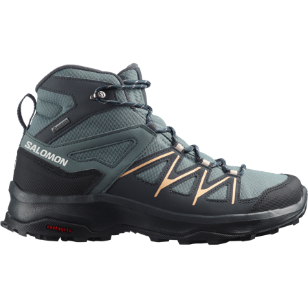 Salomon - Wandern & Trekking: Schuhe Daintree Mid Gtx W - Stormy Weather / Ebony - 36⅔