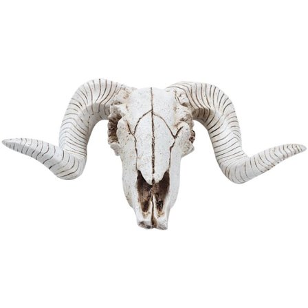 Kreativ harpiks sauehodeskalle hode hengende veggdekor 3D dyr Longhorn skulptur figurer håndverk horn dekor hjem dekorasjoner
