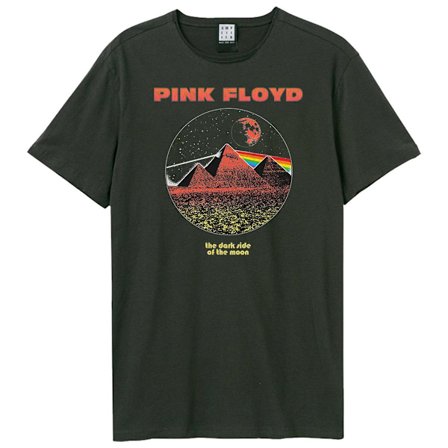 Amplified Unisex Vuxen Vintage Pyramids Pink Floyd T-Shirt XS C