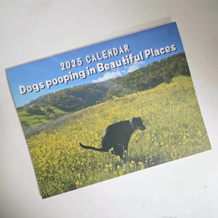 Pooing Hunde Kalender 2025 Kalender A A