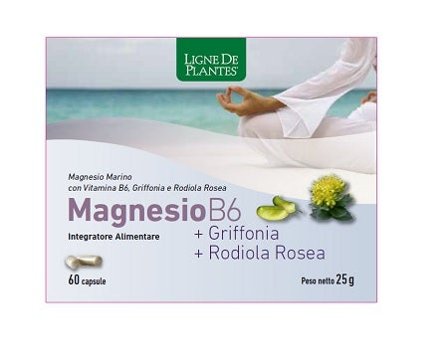 Ligne De Plantes Magnesio B6 + Griffonia + Rodiola Rosea 60